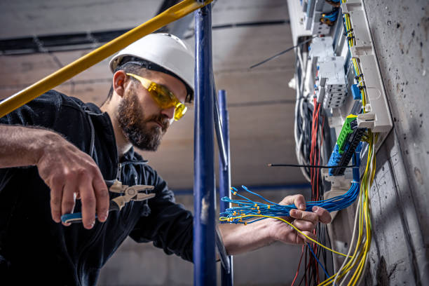 Best Electrical System Inspection  in Lanark, IL