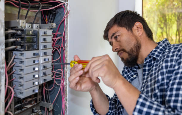 Best 24-Hour Electrician  in Lanark, IL